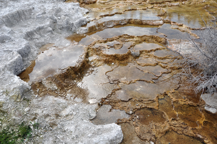 color and texure at Minerva Terraces