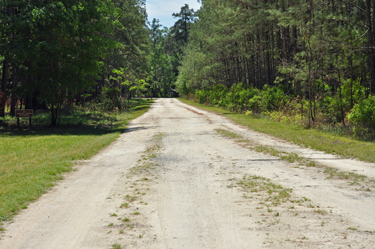 The road into Little Shoals