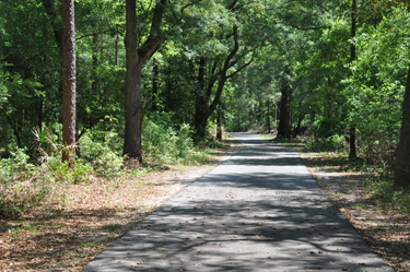 The Woodpecker Trail,