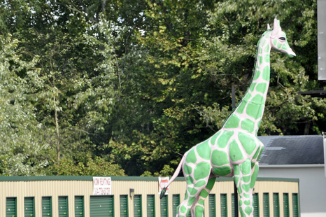 green giraffe