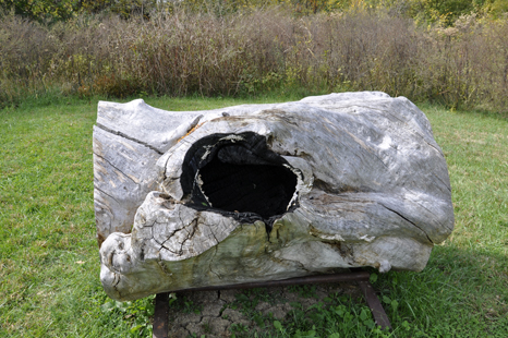 the Relic #3 artwork