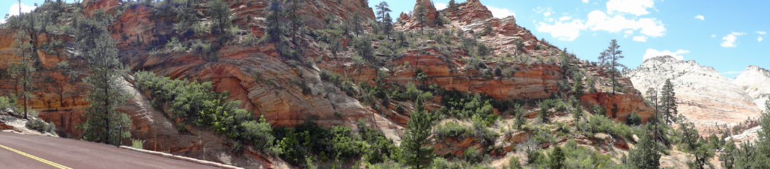 scenery at Zion National Park