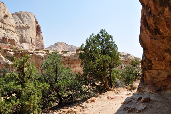 Hickman Bridge trail