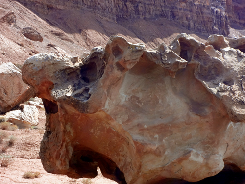 a giant boulder shaped like a seasheell