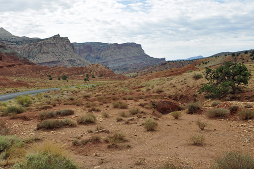 at Capitol Reef National Park