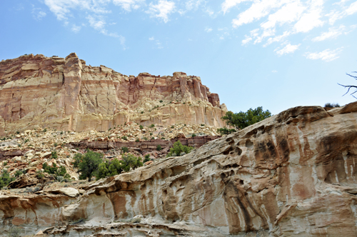 at Capitol Reef National Park