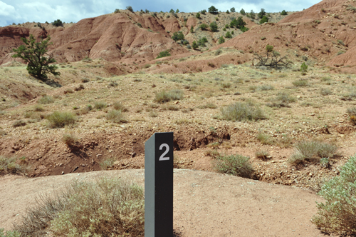 Colorful grounds at Capitol Reef National Park