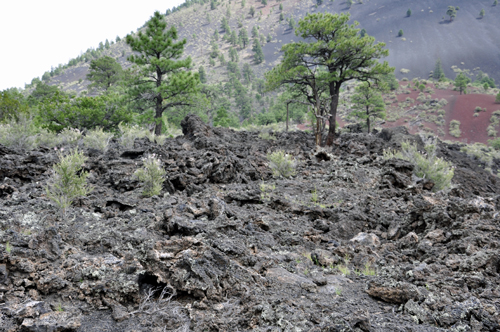 volcanic rock on The Lava Flow Trail