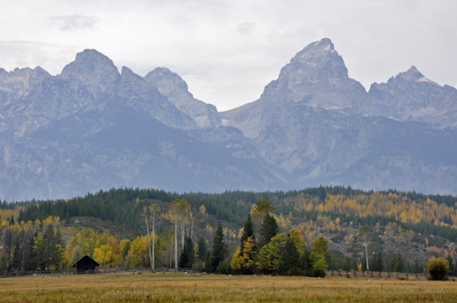 the Tetons