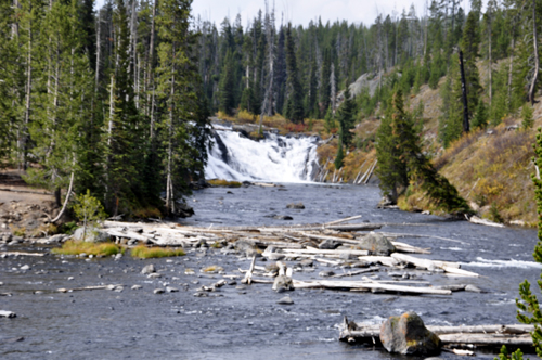 Lewis Falls at Yellowstone National Park