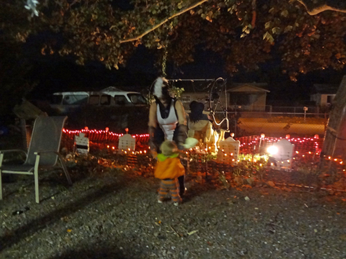 Thomas dancing with the skunk