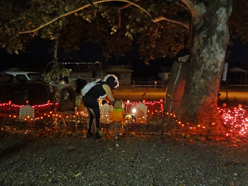 Thomas dancing with the skunk