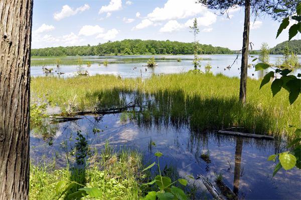 a spectacular view of the AuSable River