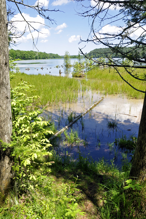 a spectacular view of the AuSable River