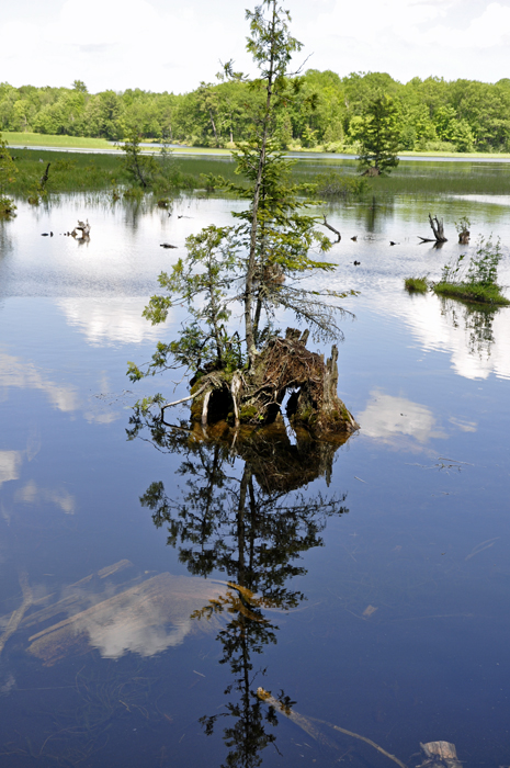 a spectacular view of the AuSable River