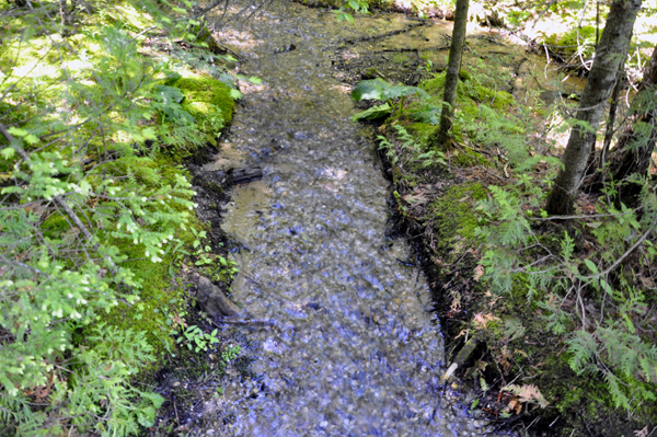 water flows everywhere