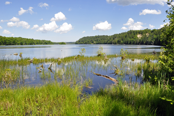 a spectacular view of the AuSable River