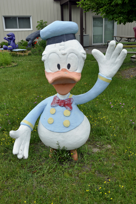 Donald Duck