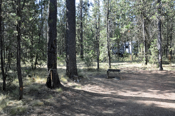 view of the two RV Gypsies' yard