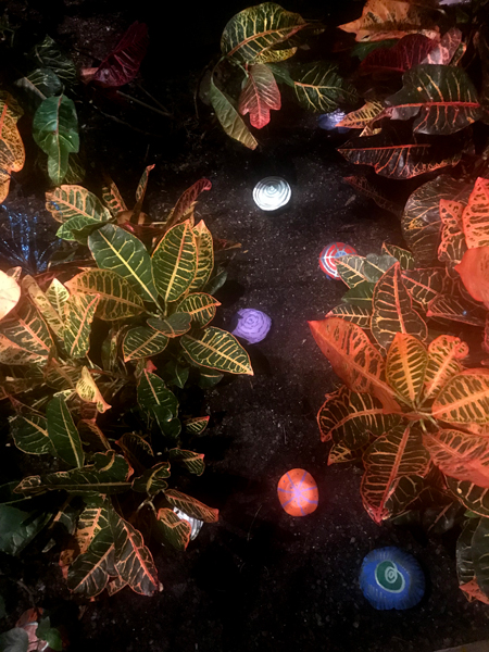 mushrooms in house in the Magical Fairy Village