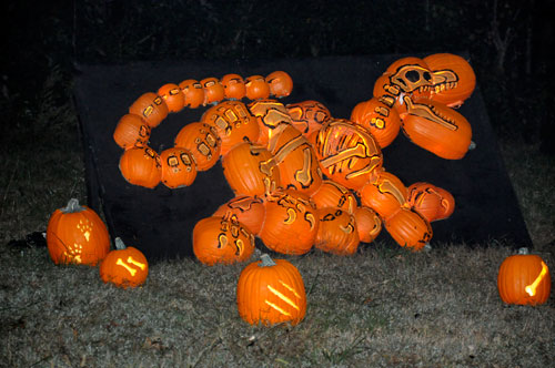 carved pumpkins