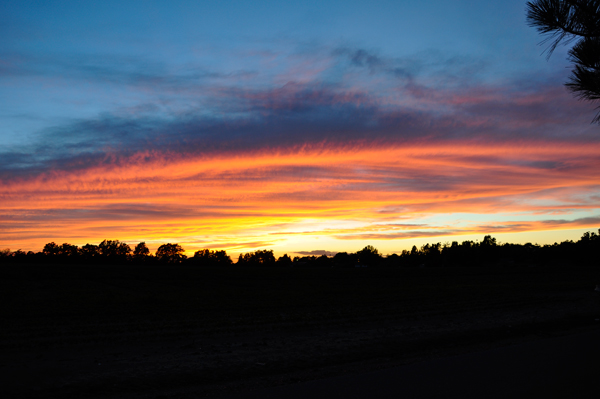 sunset