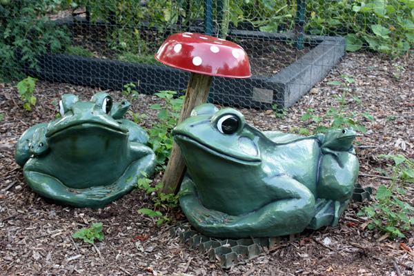 frogs