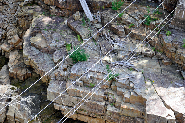 rope suspension bridge