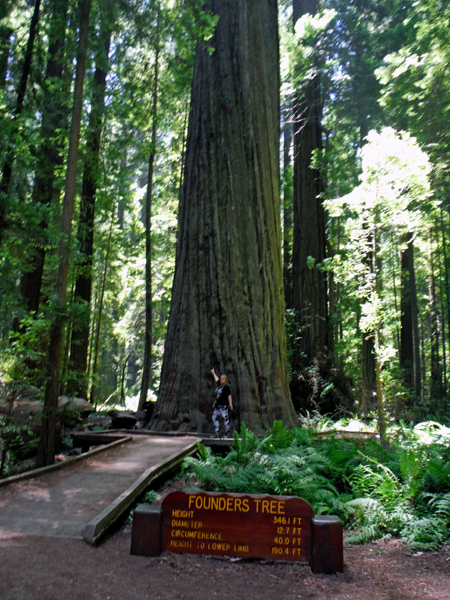 Karen Duquette and the Founders Tree