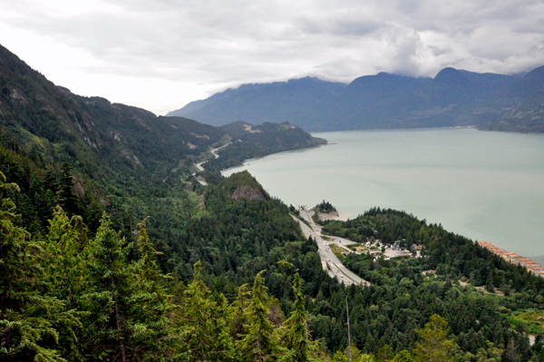 view from the gondola