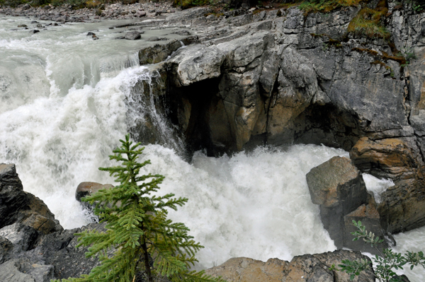 Sunwapta Falls - 2015