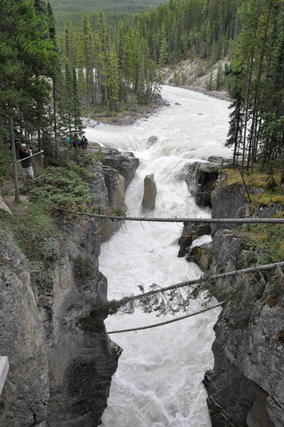 Sunwapta Falls - 2015