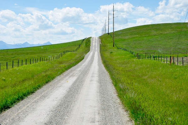 nasty dirt road leading to the campground