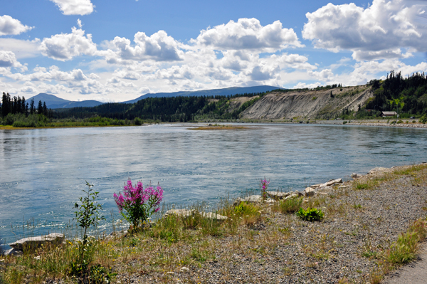 View of the surrouding river