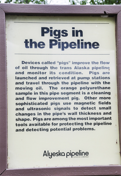 sign: pipgs in the pipeline