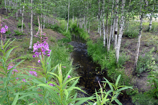 view from the bridge