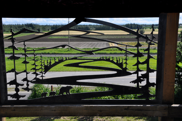 view through the fence