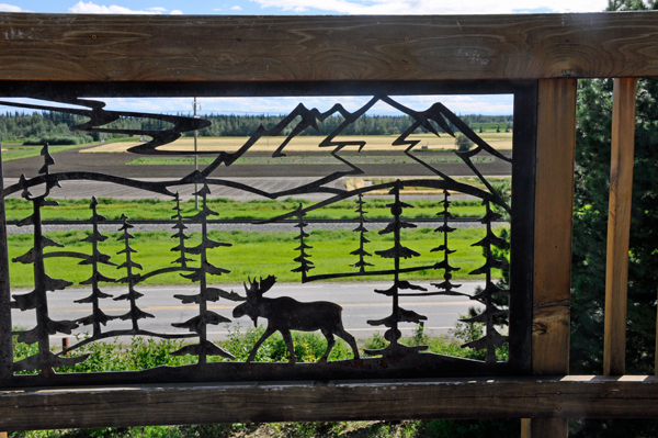 view through the fence