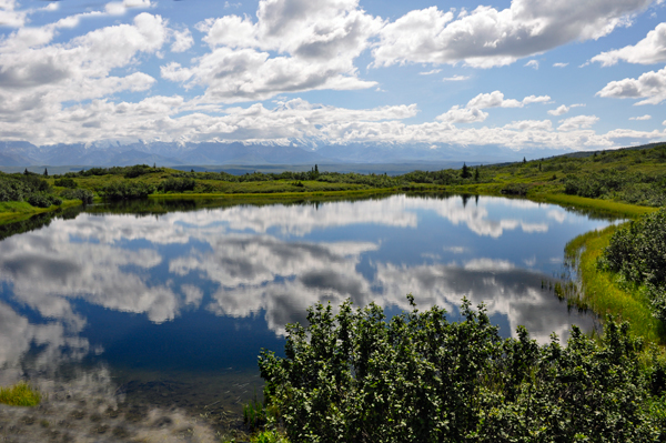 Reflection Pond