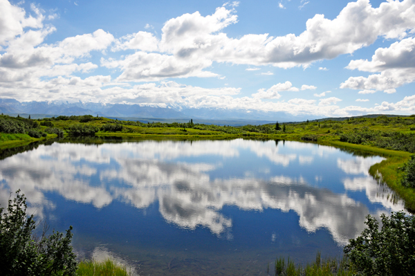 Reflection Pond