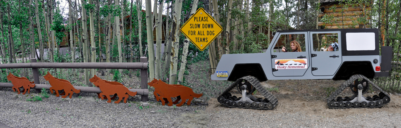 Karen and Ilse drive the sled dogs.