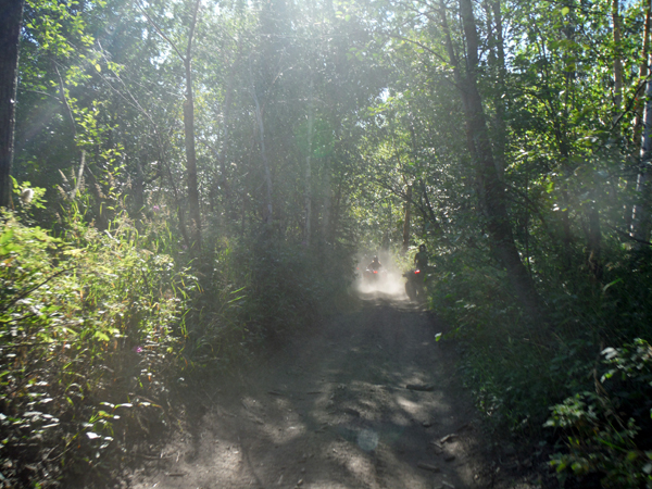 over the river and through the wood