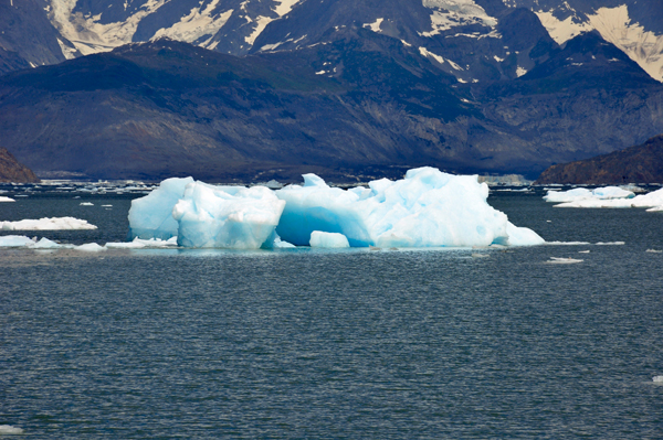 growler - a small iceberg