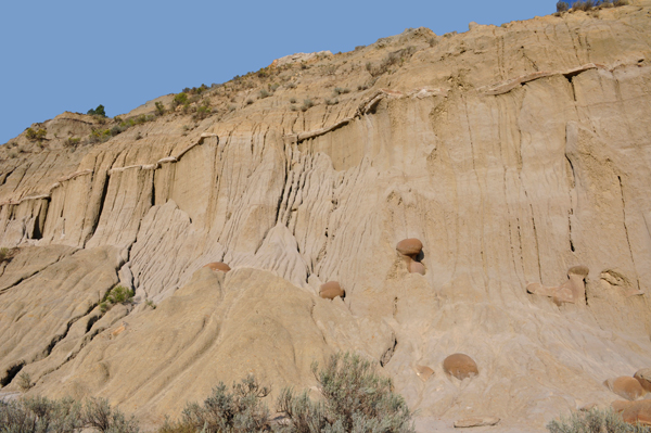 cliff with cannon ball concretions