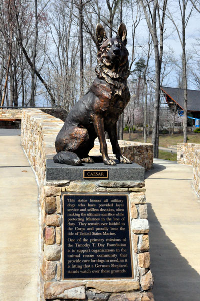 Caesar the Marine Dog