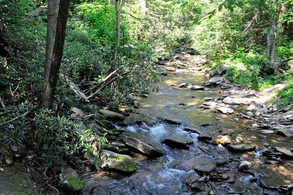 view from one side of the bridge