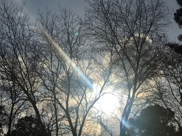 the night sky in Fort Mill, SC