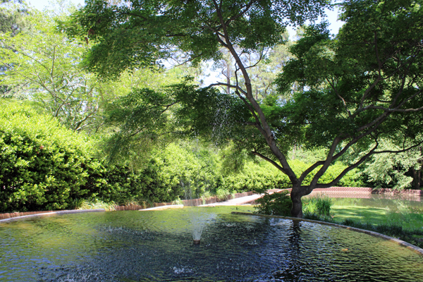 Top of the fountain in 2022