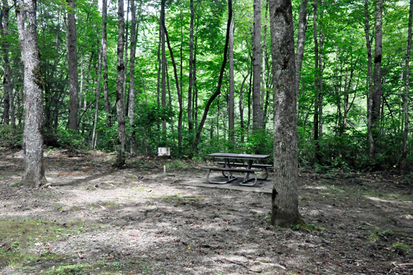 The Two RV Gypsies found a picnic lunch spot