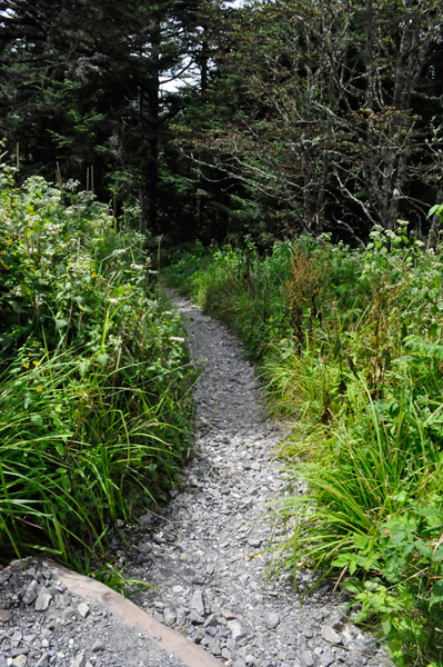 Appalachian Trail and signs